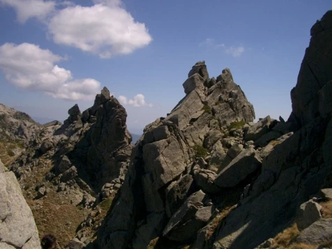 GR20 Sud en liberté - Photo 20