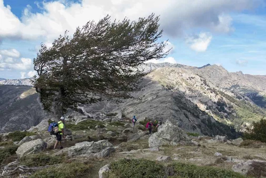 GR20 Nord en liberté - Photo 6