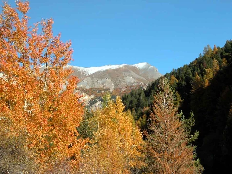 Couleurs d'automne en Queyras - Photo 2