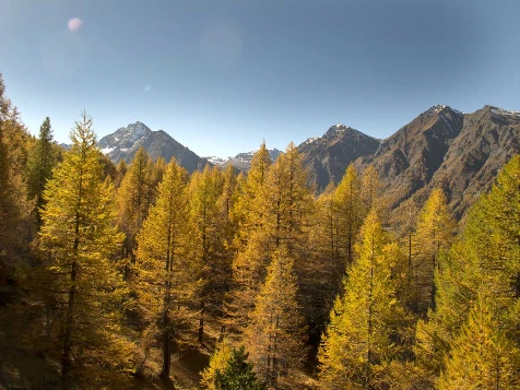 Couleurs d'automne en Queyras - Photo 5