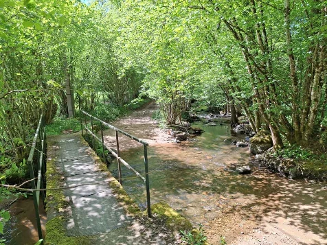 Chemins de Compostelle : Autun - Cluny - Photo 9