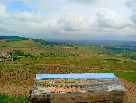 Chemins de Compostelle : Autun - Cluny - Photo 12