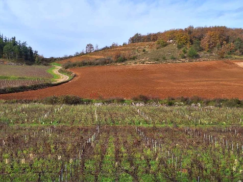 Chemins de Compostelle : Autun - Cluny - Photo 13