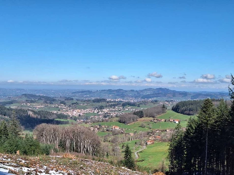 Chemins de Compostelle : Cluny - Charlieu - Photo 7