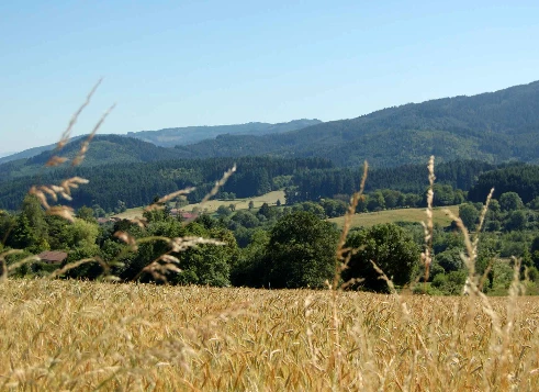 Chemins de Compostelle : Charlieu - Montbrison - Photo 2