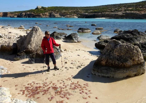 Malte, Gozo & Camino - Photo 1