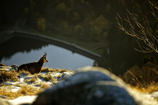 Traversée des Hautes Vosges en liberté - Photo 10