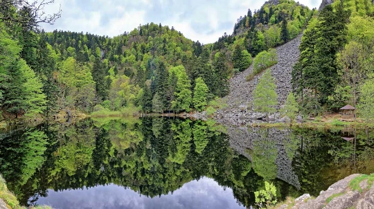 Traversée des Hautes Vosges en liberté - Photo 3