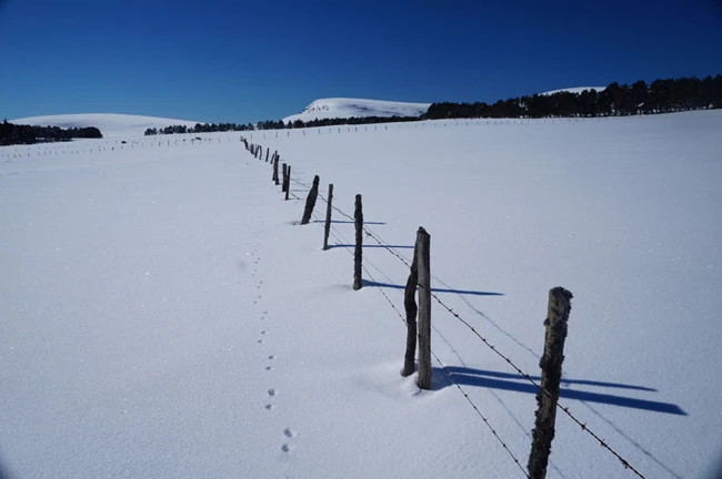Week-End Auvergne - Photo 1