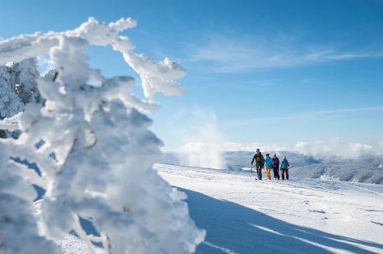 WE ski de randonnée nordique Vercors - Photo 4