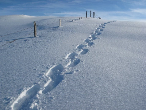 Auvergne en étoile - Photo 13