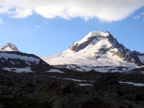 Grand Paradis en liberté - Photo 5