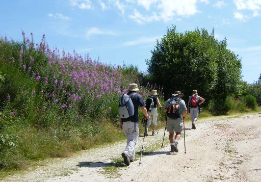 Saint Jacques de Compostelle  : Aumont Aubrac à Conques - Photo 1