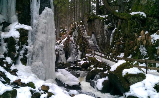 Traversée de la Haute Forêt Noire - Photo 4
