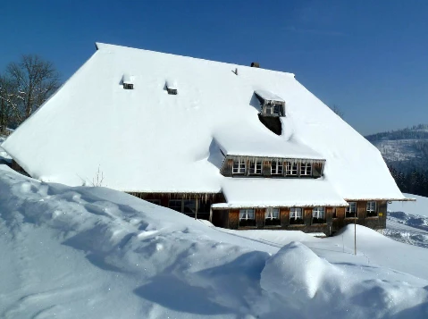 Traversée de la Haute Forêt Noire - Photo 5