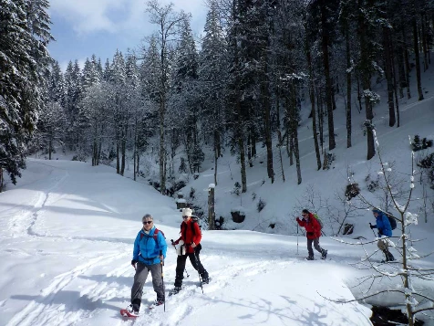 Traversée de la Haute Forêt Noire - Photo 6