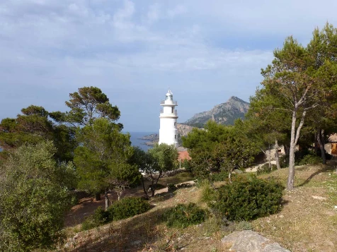 Les baleares : Majorque en liberté - Photo 8