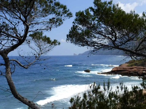 Les baleares : Majorque en liberté - Photo 11
