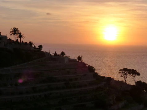 Les baleares : Majorque en liberté - Photo 10