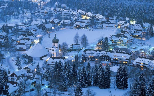 Raquettes & Bien Etre en Forêt Noire - Photo 7