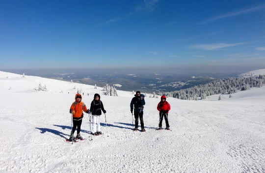 Raquettes & Bien Etre en Forêt Noire - Photo 5