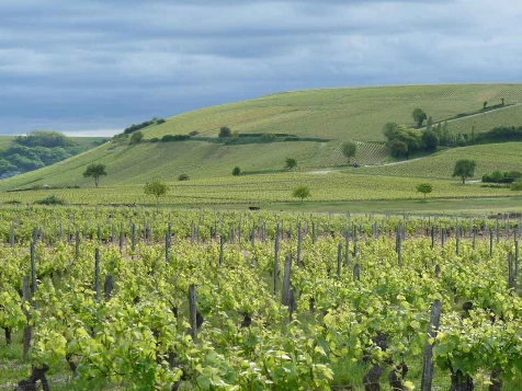 La Loire à Vélo, Nevers - Orléans - Photo 6