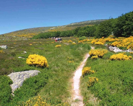 Du Larzac aux Gorges du Tarn - Photo 9