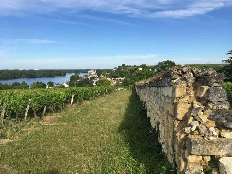 La Loire à Vélo, Tours - Saumur - Photo 7