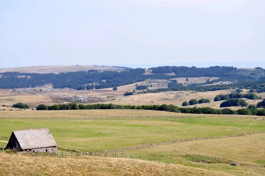 Aubrac : Les Grands Espaces en liberté - Photo 5