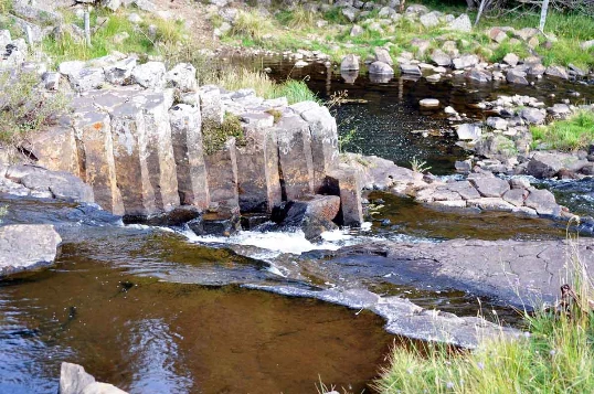 Aubrac : Les Grands Espaces en liberté - Photo 9