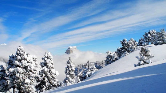 WE Réveillon et igloo dans le Vercors - Photo 4
