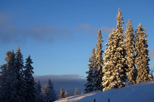 WE Réveillon dans le Haut Jura - Photo 3