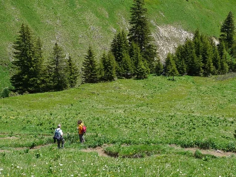 Sommets en Abondance - Photo 5