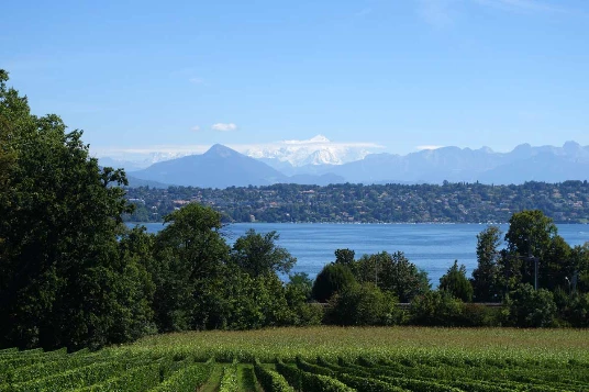 Sur les Pas des Huguenots : Genève - Yverdon (Suisse) - Photo 11