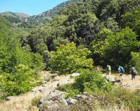 Retrouvance® : Monts d'Ardèche - Photo 8