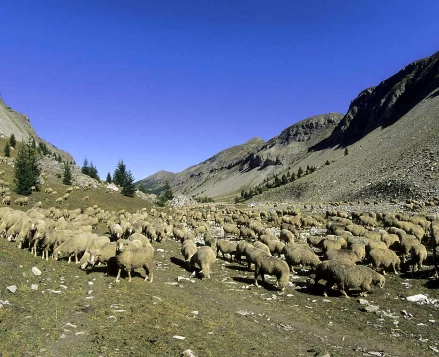 Retrouvance® : Haut Verdon - Photo 3