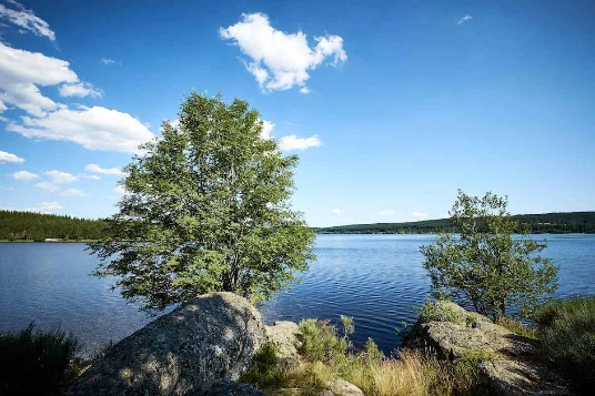 Stevenson : du Puy a St Jean du Gard - Photo 1