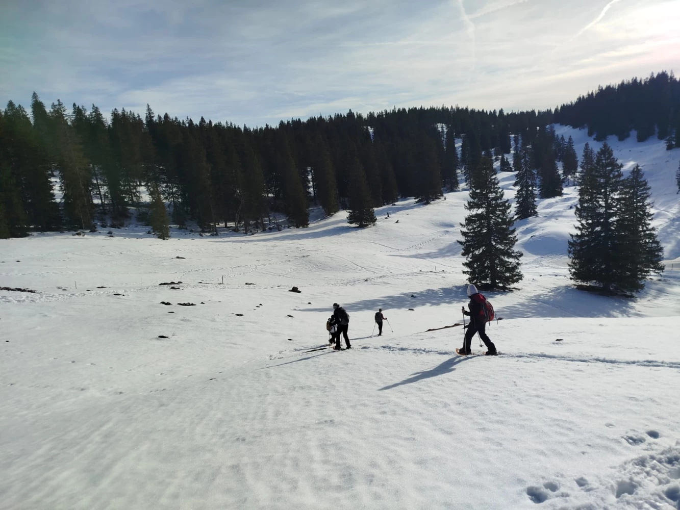 Raquettes & Détente dans le Jura - Photo 11