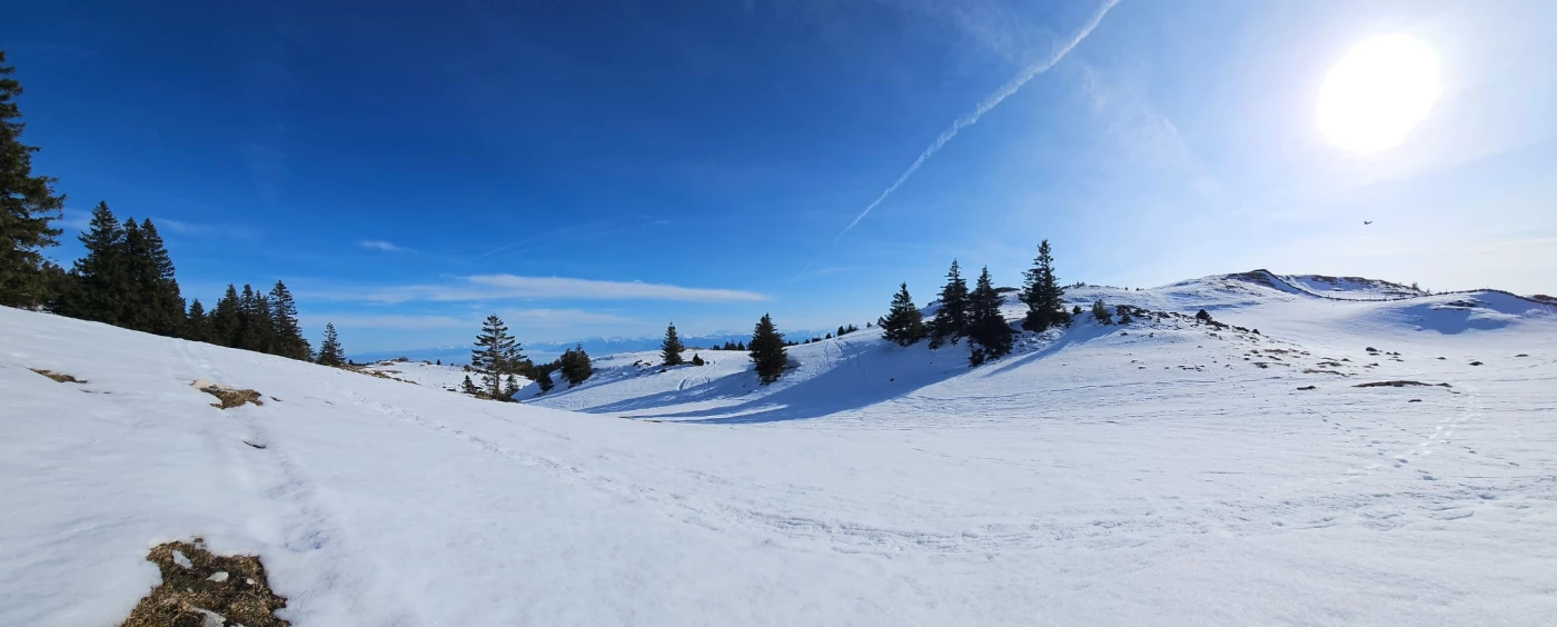 Raquettes & Détente dans le Jura - Photo 12