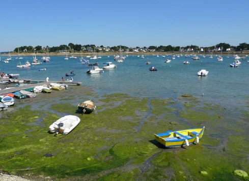 WE Réveillon Golfe du Morbihan - Photo 7