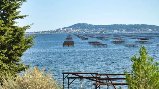 Le Rhône à vélo : Montélimar - Sète - Photo 6