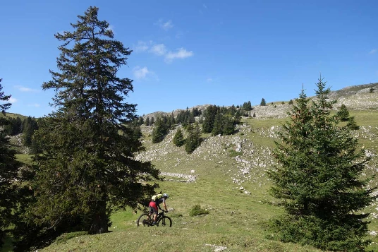 WE eVTT sur la GTJ : Metabief - Lajoux - Photo 5