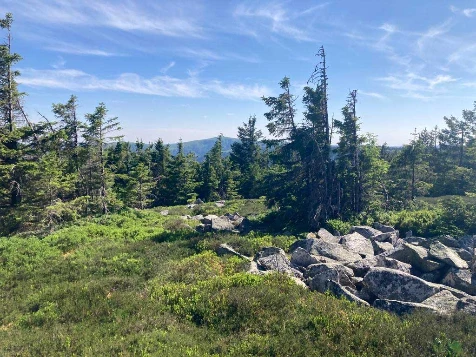 Rando & Bien Etre dans les Hautes Vosges - Photo 4