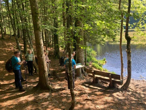 Rando & Bien Etre dans les Hautes Vosges - Photo 10