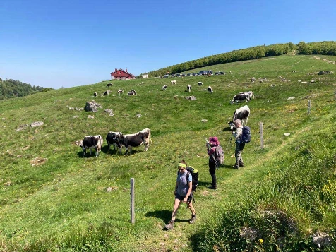 Rando & Bien Etre dans les Hautes Vosges - Photo 8