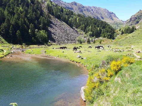 Retrouvance® : Vicdessos - Photo 4