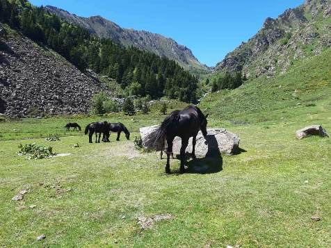 Retrouvance® : Vicdessos - Photo 3