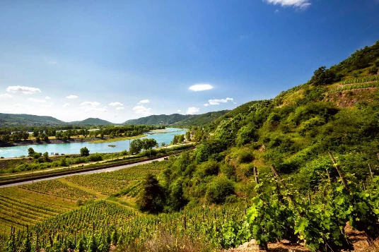 Le Rhône à vélo électrique : Genève - Grau du Roi - Photo 1