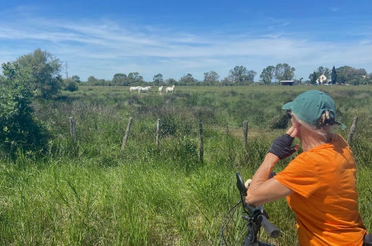 Le Rhône à vélo électrique : Genève - Grau du Roi - Photo 8