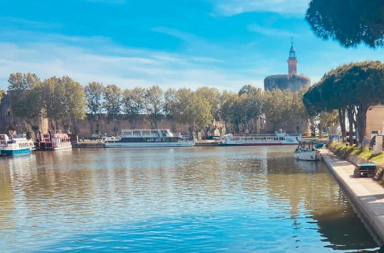 Le Rhône à vélo électrique : Genève - Grau du Roi - Photo 9